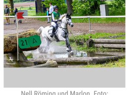 2023-07-nell roming em pony6